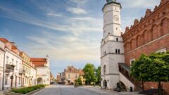 Grzybobranie: do lasu lepiej nie iść samemu